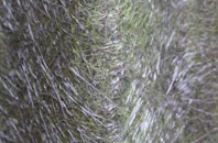 Cockadilly fibreglass roof work